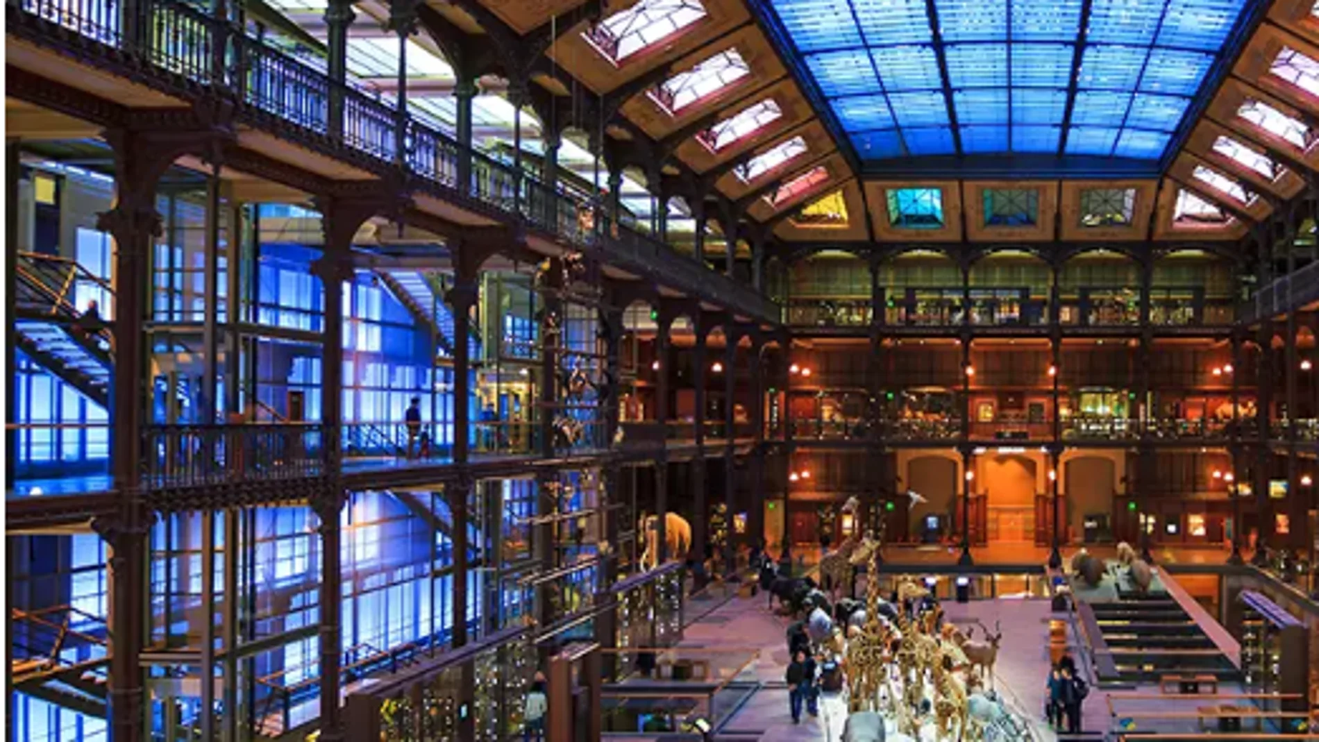 Museo Nacional de Historia Natural de París