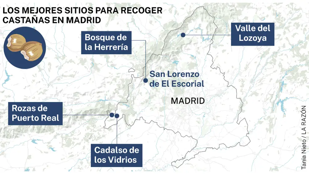 Escapadas para recoger castañas
