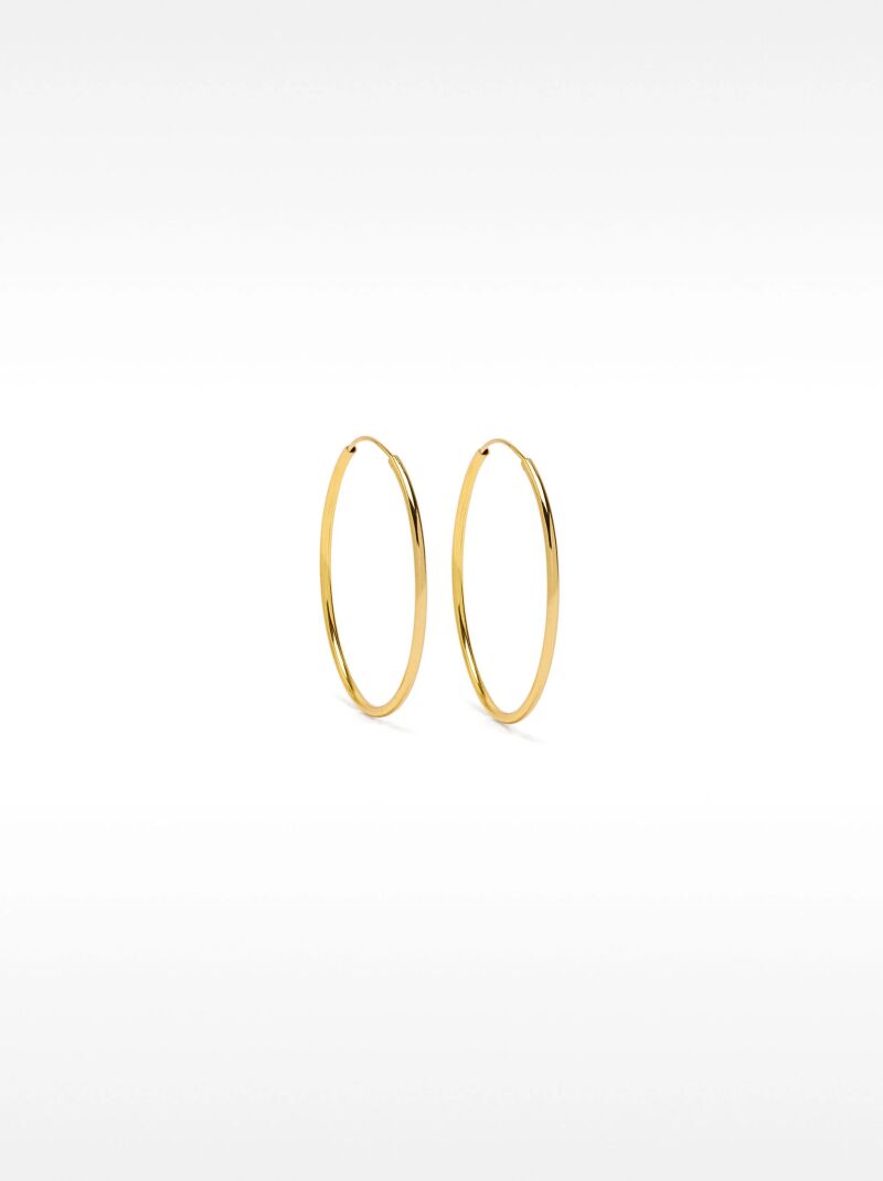 Pendientes de aro.