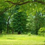 Piden 3.500 euros de multa para el hombre que intentó cazar a una especie en peligro de extinción en un parque natural de Asturias