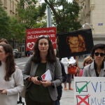 Hazte Oír irrumpe en el Ayuntamiento de Madrid para protestar por la negación del síndrome post-aborto