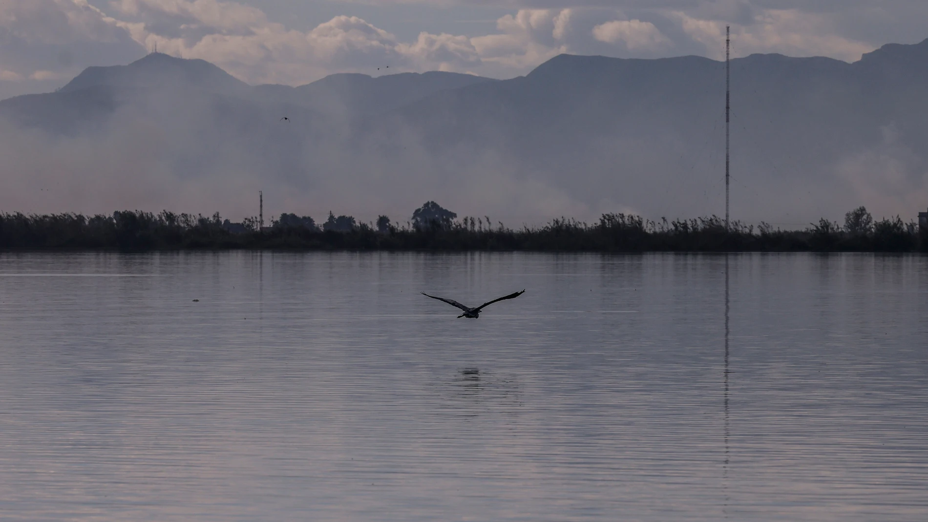 Parque de L’Albufera de Valencia, a 24 de octubre de 2025, en Valencia, Comunidad Valenciana (España). La visita tiene lugar después de la presentación del Plan de actuaciones para la recuperación y mejora de la resiliencia de L'Albufera cuyo objetivo principal es la restauración ambiental de los ecosistemas acuáticos y la mejora de la calidad del agua mediante la creación de un filtro verde y la recuperación de hábitats naturales en terrenos expropiados. 24 OCTUBRE 2025 Rober Solsona / Eur...