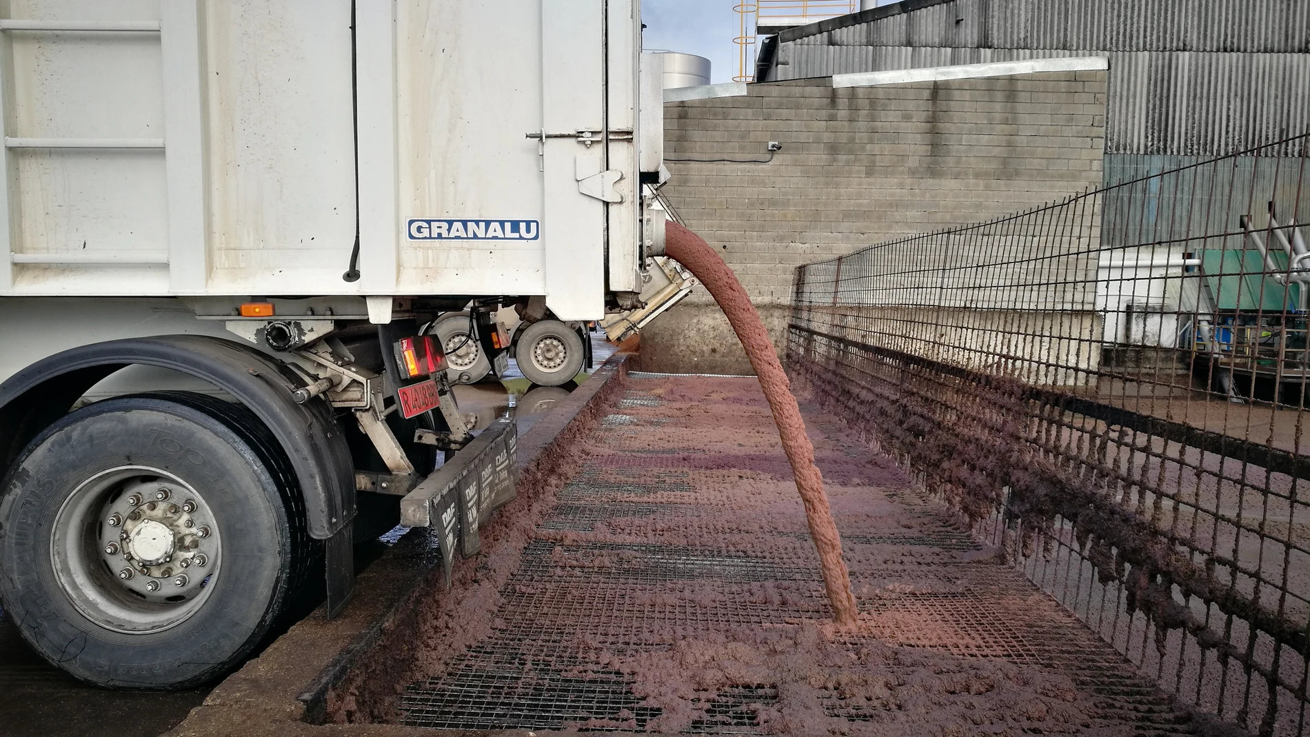 Alperujo de almazara, un subproducto del olivar que sirve para generar biogás (que luego puede utilizarse para producir electricidad o calor) y biocombustibles, entre otros usos