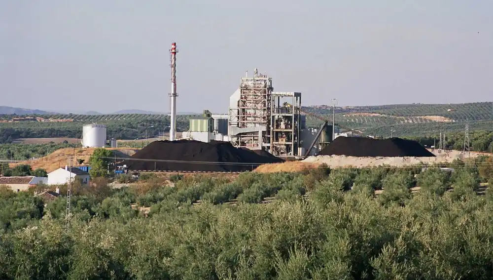 Una planta de biomasa de subproductos del olivar