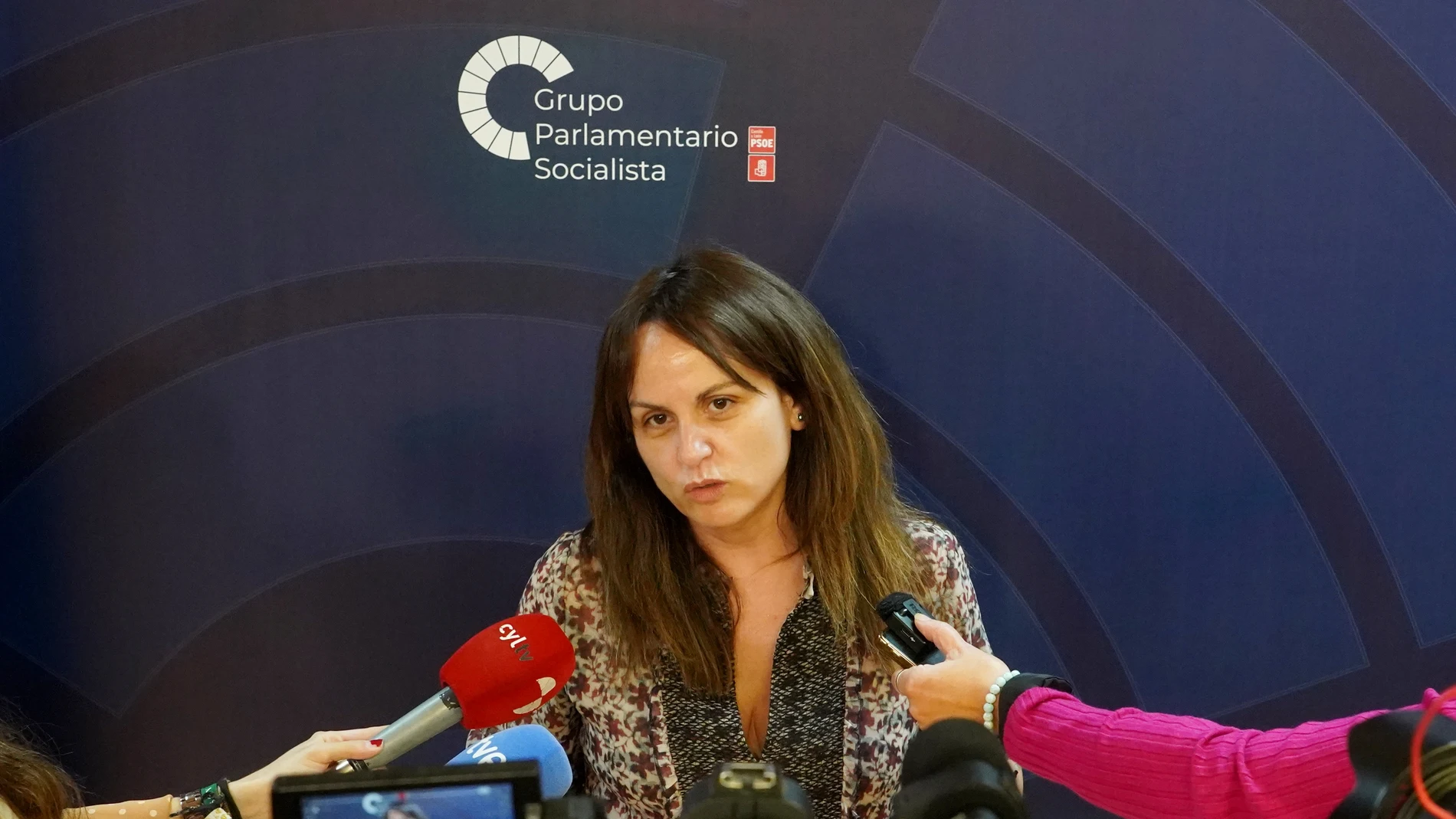 La portavoz del Grupo Socialista en las Cortes, Patricia Gómez, atiende a la prensa