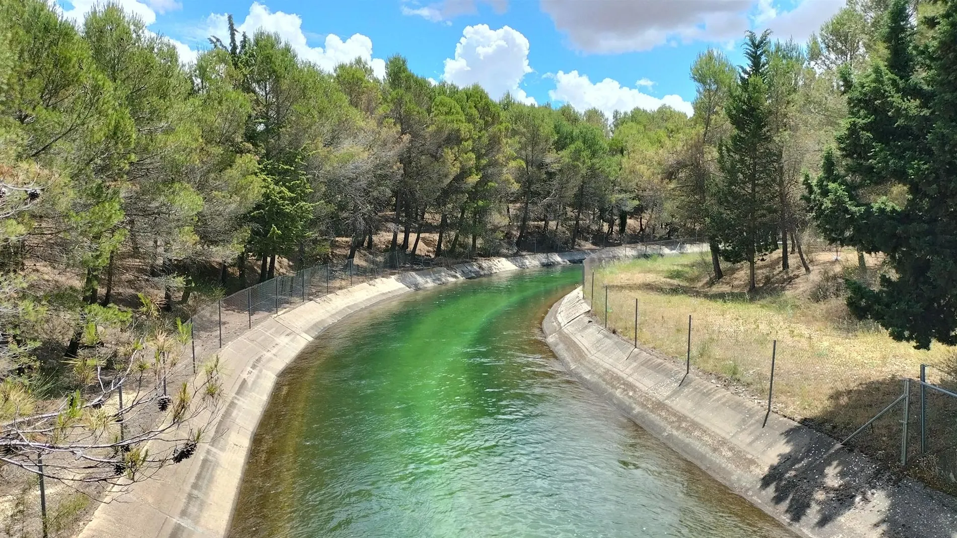 MURCIA.-Agua.- Comunitat Valenciana, Murcia, Andalucía y Scrats trasladan un informe a Aagesen para mantener el Tajo-Segura