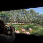 Así será el Zoo de Barcelona en 2030: nuevos espacios y más biodiversidad