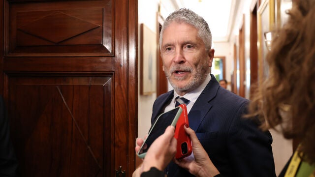 Marlaska comparece en el Congreso para explicar el uso de los gastos reservados de Interior Marlaska comparece en el Congreso para explicar el uso de los gastos reservados de Interior