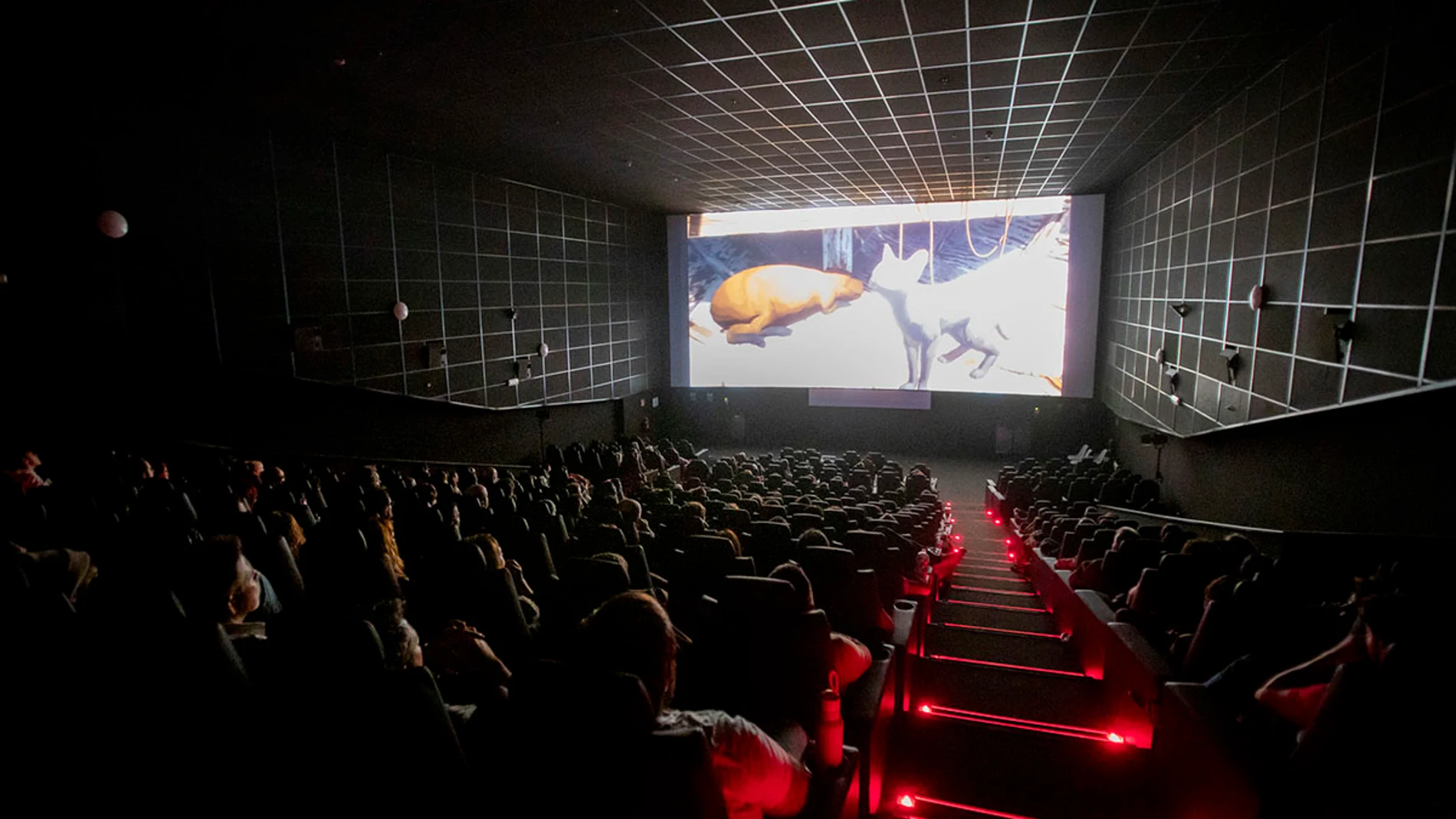 Abierto el plazo para comprar entradas y canjeo de abonos para el 22º Festival de Sevilla