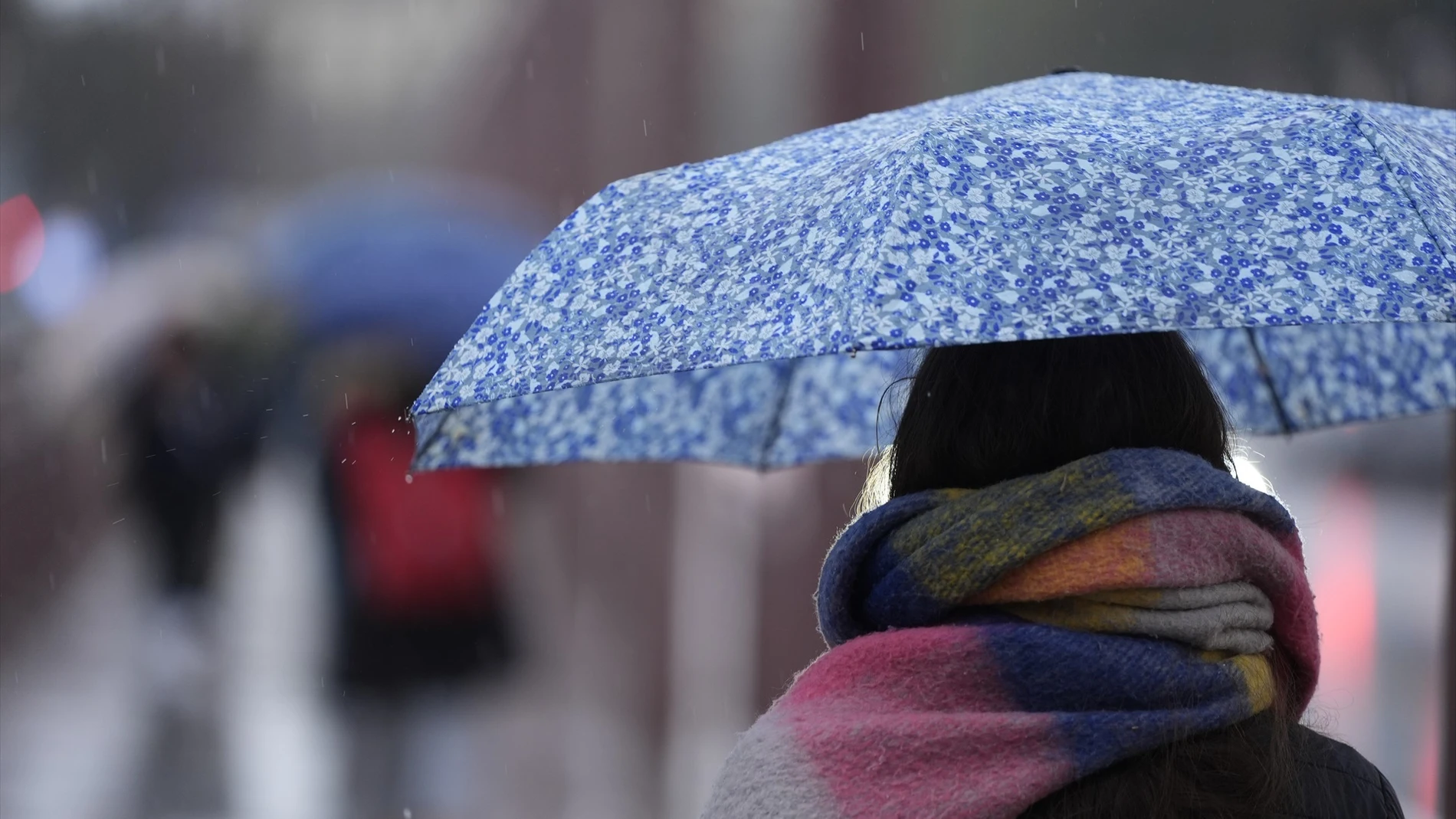 Una persona se protege de la lluvia con un paraguas. Imagen de archivo