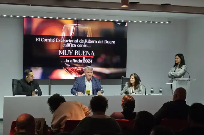 El Comité Excepcional de Ribera del Duero califica la añada 2024 como “Muy Buena” El Comité Excepcional de Ribera del Duero califica la añada 2024 como “Muy Buena”