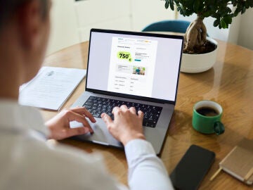 Un cliente de Cajamar consulta su p&aacute;gina web