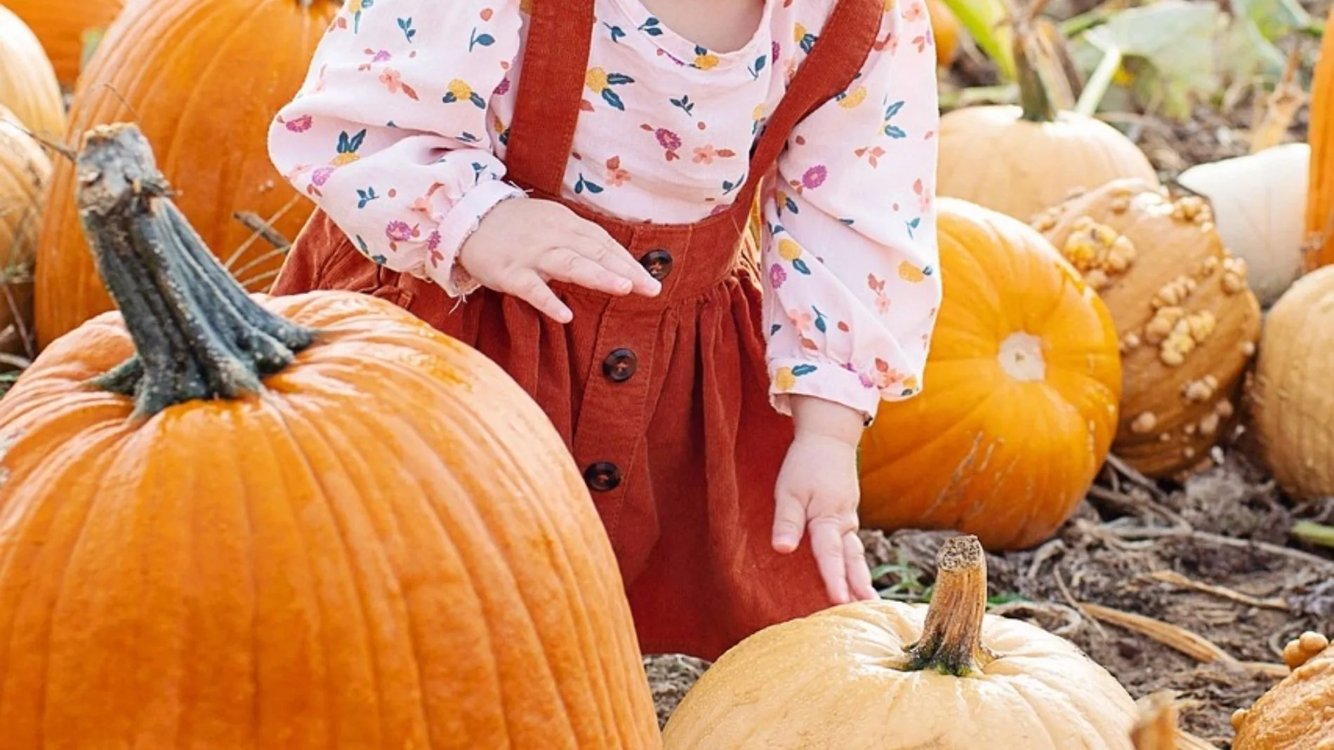 Adiós a pedir caramelos o ver películas en Halloween: estos planes son distintos y disfrutarás en familia