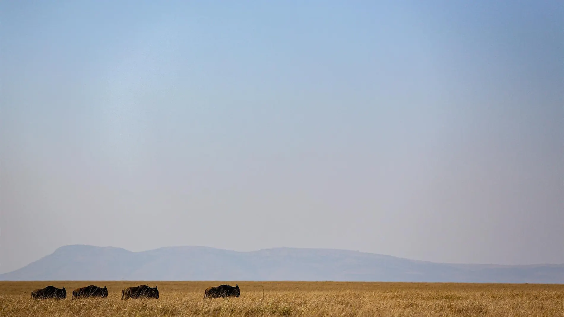 Kenia.- AMP.- Mueren once personas tras estrellarse una avioneta con turistas de camino a la reserva de Masái Mara