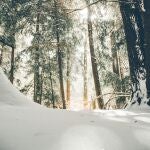 Un investigador meteorológico explica: nieve temprana sin precedentes en décadas y un invierno severo a la vista