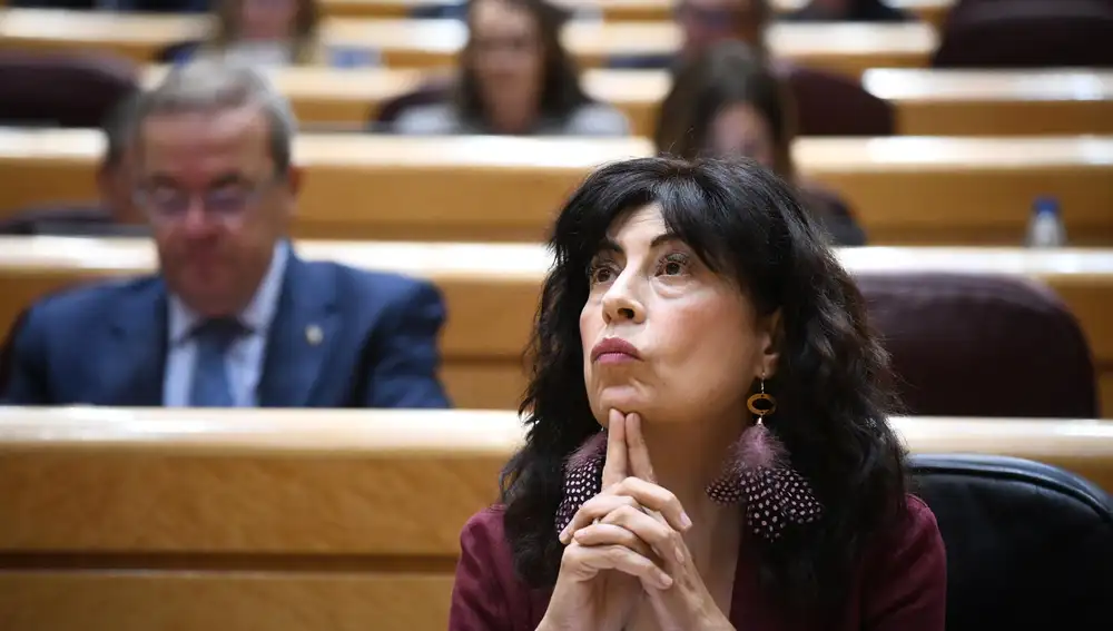 El Parlamento de Baleares exige la dimisión de Ana Redondo por los fallos en las pulseras antimaltrato