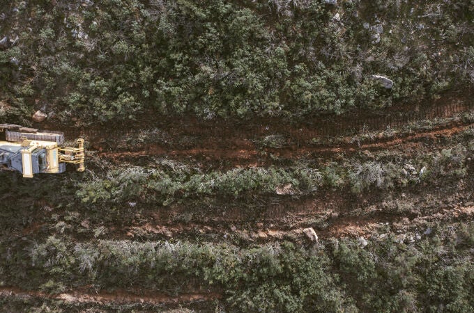 Para replantar hay que preparar el terreno y a veces es necesario quitar masa vegetal, algo que se tiene en cuenta en el cálculo de CO2 total Para replantar hay que preparar el terreno y a veces es necesario quitar masa vegetal, algo que se tiene en cuenta en el cálculo de CO2 total
