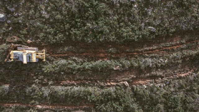 Para replantar hay que preparar el terreno y a veces es necesario quitar masa vegetal, algo que se tiene en cuenta en el cálculo de CO2 total Para replantar hay que preparar el terreno y a veces es necesario quitar masa vegetal, algo que se tiene en cuenta en el cálculo de CO2 total