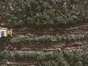 Para replantar hay que preparar el terreno y a veces es necesario quitar masa vegetal, algo que se tiene en cuenta en el cálculo de CO2 total Para replantar hay que preparar el terreno y a veces es necesario quitar masa vegetal, algo que se tiene en cuenta en el cálculo de CO2 total