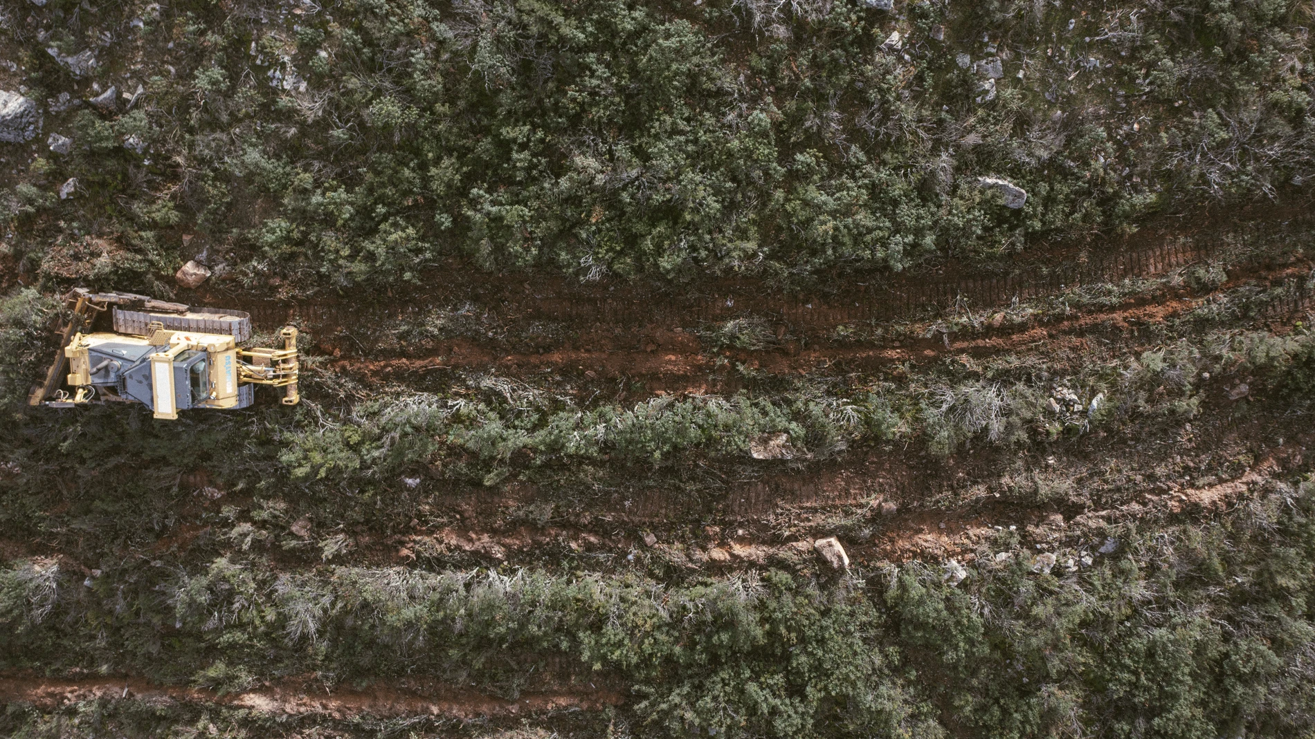 Para replantar hay que preparar el terreno y a veces es necesario quitar masa vegetal, algo que se tiene en cuenta en el cálculo de CO2 total