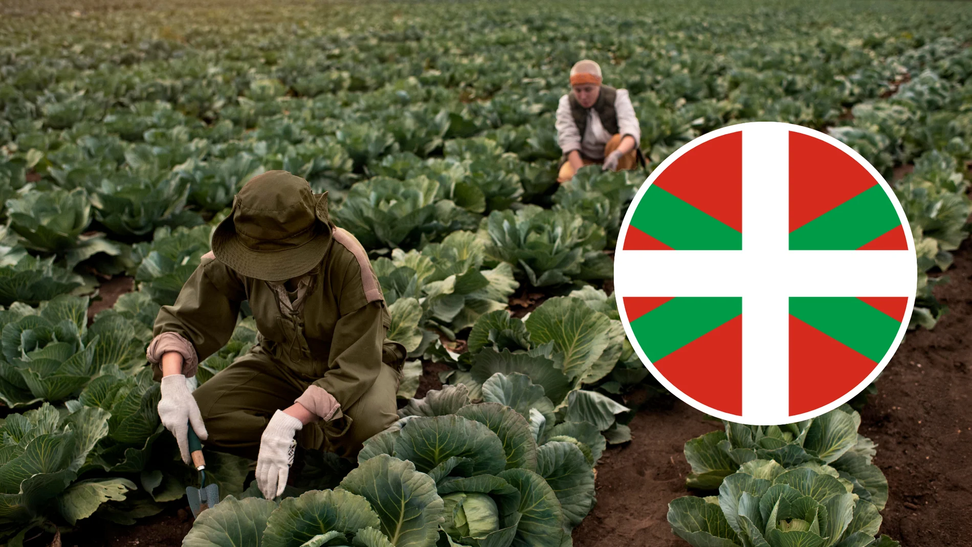 Muy diferente al español: la llamativa forma con la que los vascos llaman al mes de noviembre