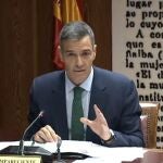 Comparecencia de Pedro Sánchez en la comisión del "caso Koldo" en el Senado