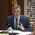 Comparecencia de Pedro Sánchez en la comisión del "caso Koldo" en el Senado