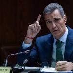 Pedro Sánchez comparece en la comisión Koldo en el Senado @ Gonzalo Pérez Pedro Sánchez comparece en la comisión Koldo en el Senado @ Gonzalo Pérez