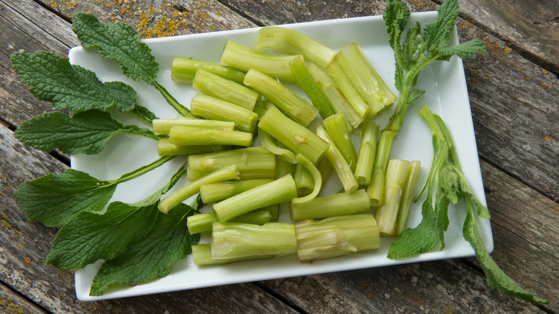 Estas son las razones por las que debes tomar borraja: beneficios y propiedades