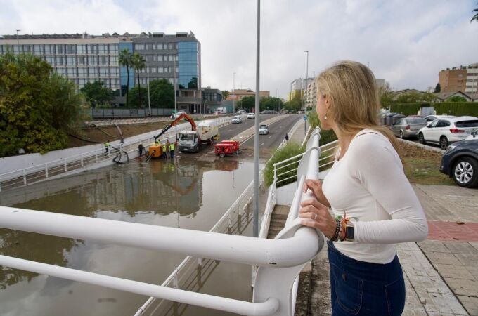 Sevilla.-Vox urge a Sanz un Plan Local de Inundaciones y afea a la Junta su "falta de colaboración" Sevilla.-Vox urge a Sanz un Plan Local de Inundaciones y afea a la Junta su "falta de colaboración"