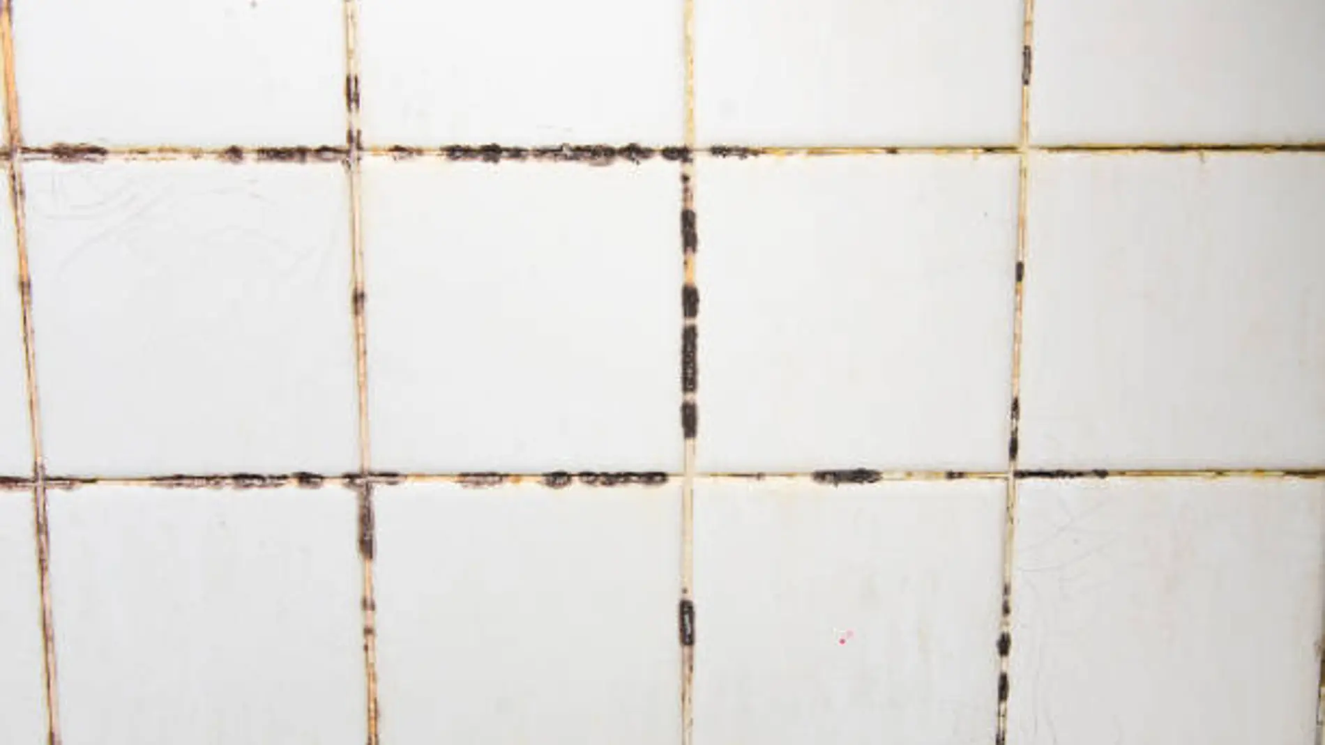 Diga adiós al moho en los azulejos de su baño: simplemente haga esto para que parezcan nuevos