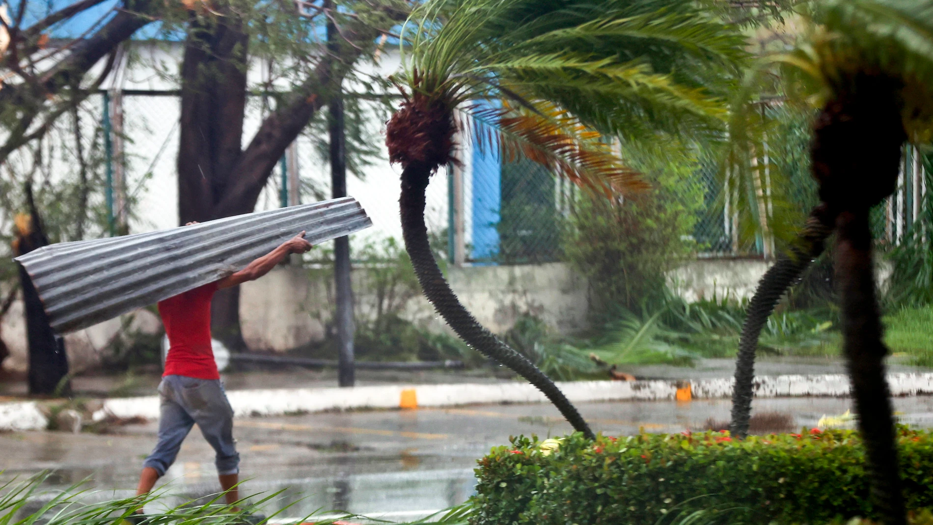 FOTODELDÍA AME3138. SANTIAGO DE CUBA (CUBA), 29/10/2025.- Una persona carga una teja este miércoles, en Santiago de Cuba (Cuba). Melissa se aleja de Cuba convertido en un huracán de categoría 2, con vientos máximos sostenidos de hasta 160 kilómetros por hora, y comienza a dirigirse hacia las Bahamas tras provocar inundaciones, crecidas de ríos y corrimientos de tierras en el oriente de Cuba. EFE/ Ernesto Mastrascusa