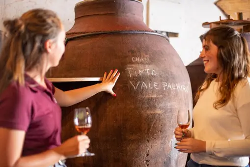 Ruta enológica por el Bajo Alentejo, donde el vino es una forma de vida Ruta enológica por el Bajo Alentejo, donde el vino es una forma de vida