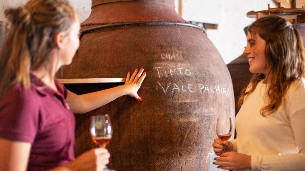 Ruta enológica por el Bajo Alentejo, donde el vino es una forma de vida
