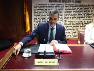 Sánchez desconoce qué significan chistorras, lechugas y soles pero niega sobresueldos en el PSOE Sánchez desconoce qué significan chistorras, lechugas y soles pero niega sobresueldos en el PSOE