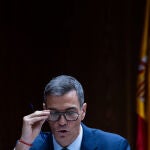 Pedro Sánchez comparece en la comisión Koldo en el Senado @ Gonzalo Pérez 