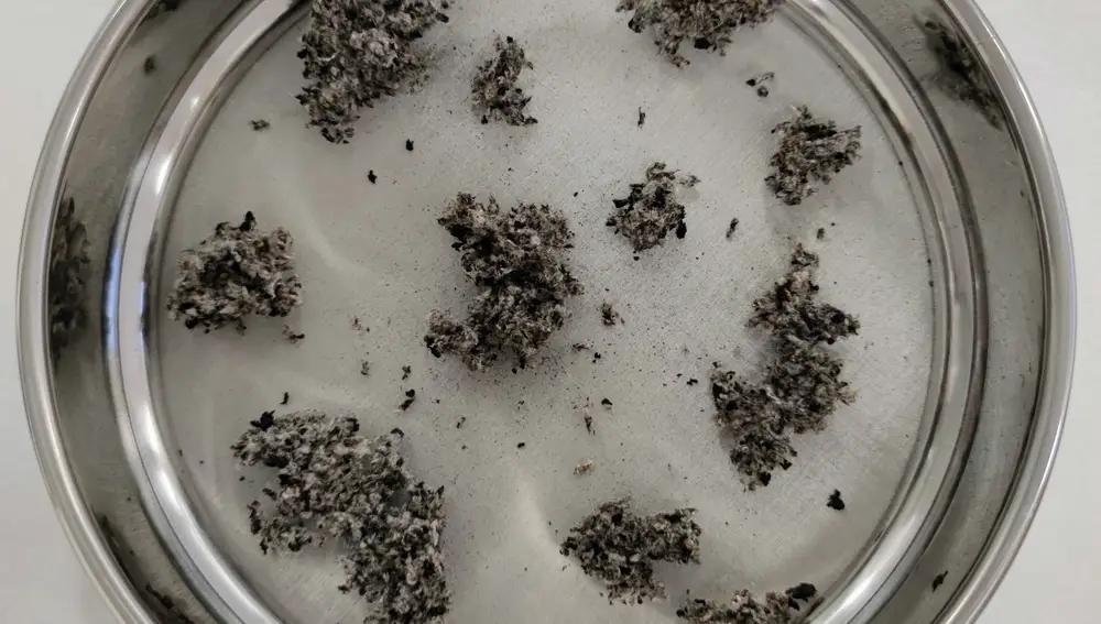 Muestra de granulado de caucho para la elaboración de compuesto de escayola