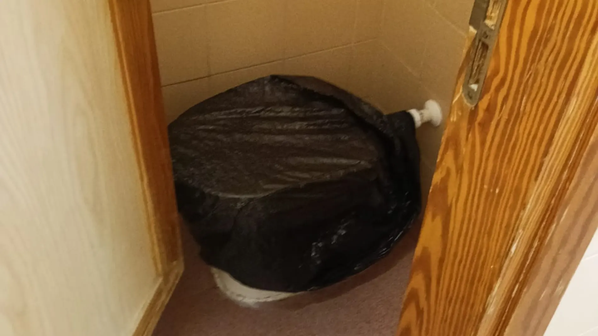 Baños del Colegio Jacarandá de Sevilla