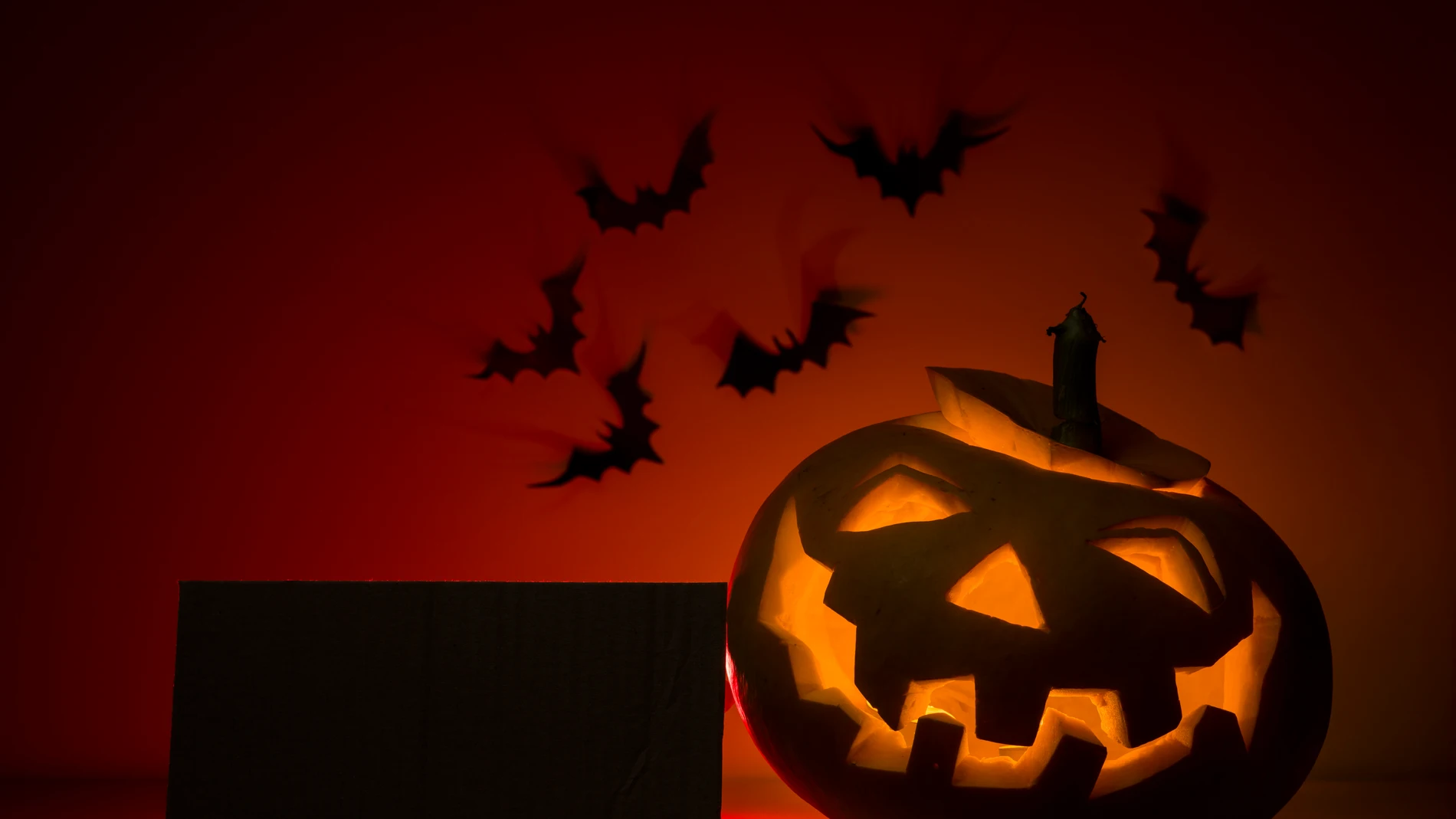 (Foto de ARCHIVO) Halloween. REMITIDA / HANDOUT por FREEPIK Fotografía remitida a medios de comunicación exclusivamente para ilustrar la noticia a la que hace referencia la imagen, y citando la procedencia de la imagen en la firma 15/08/2017