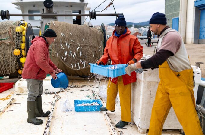 Economía.-Cataluña, C.Valenciana, Murcia, Andalucía y Baleares piden a CE medidas para garantizar el futuro de la pesca Economía.-Cataluña, C.Valenciana, Murcia, Andalucía y Baleares piden a CE medidas para garantizar el futuro de la pesca