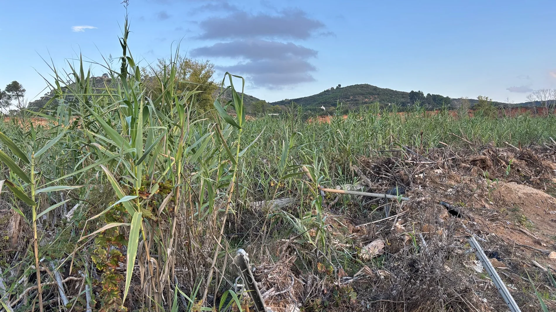 Los agricultores, los últimos en salir de la dana: el 40% sigue por recuperar la actividad económica