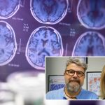 Un grupo de científicos españoles en colaboración con otros países revierten el Alzheimer en ratones con nanotecnología revolucionaria