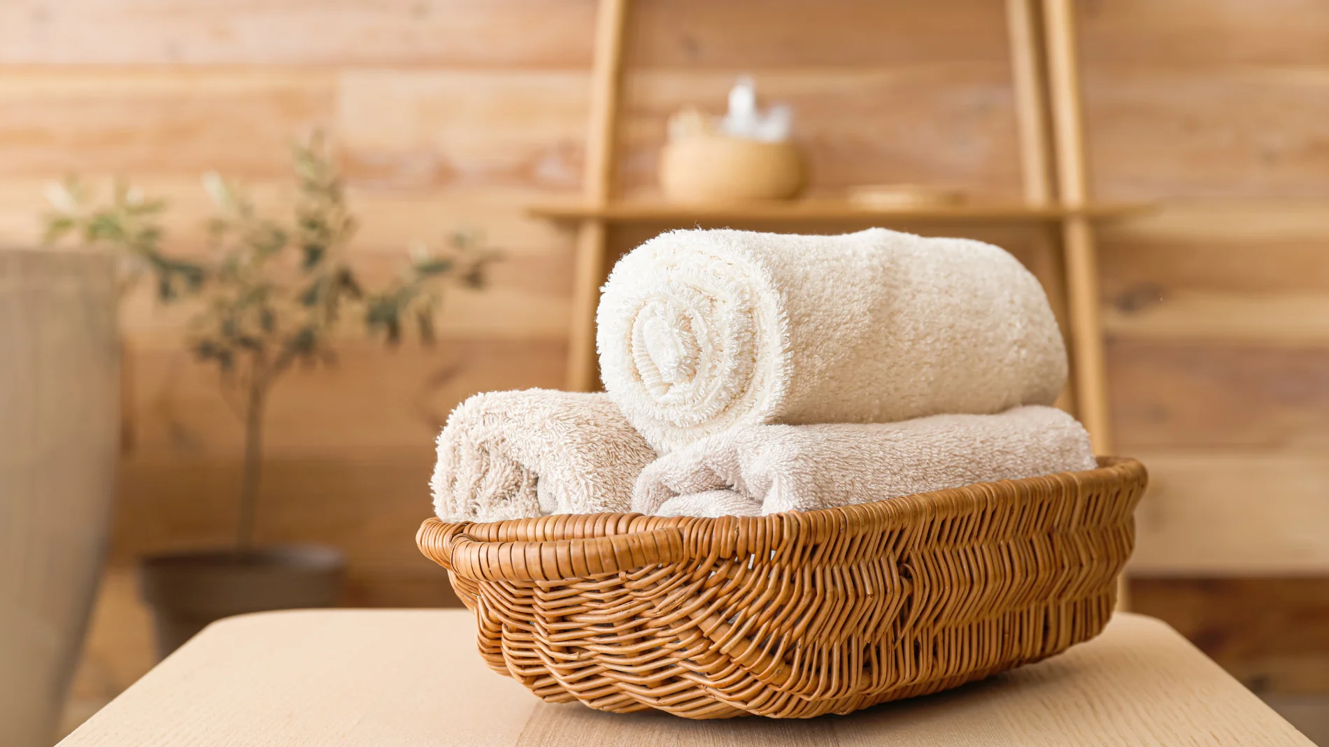 Una bióloga advierte de que una toalla mal lavada es "el ambiente perfecto para los microorganismos"