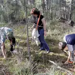 Recolecctores de setas de Castilla y León