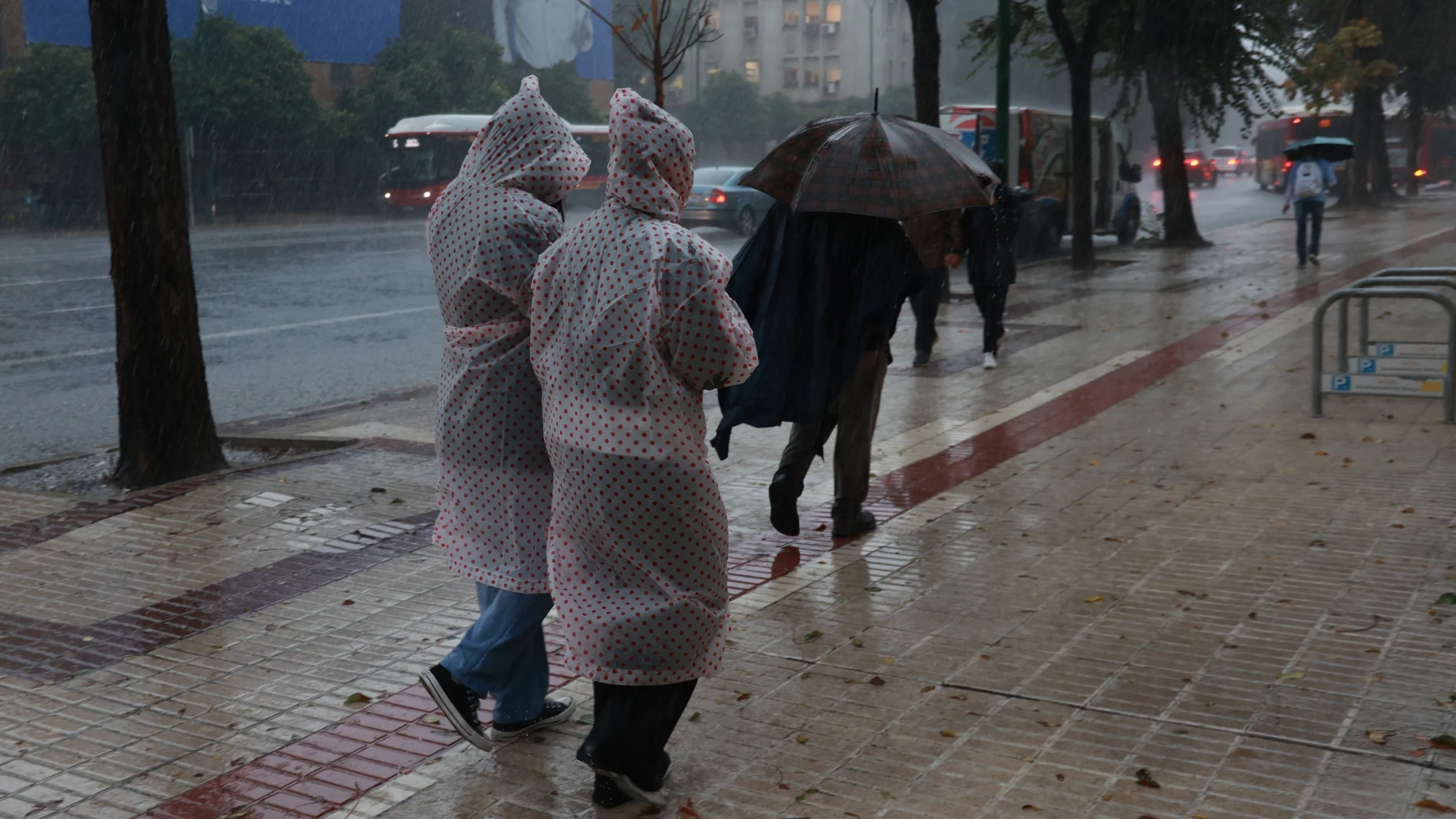 Lluvia en Sevilla