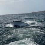 Sucesos.- Rescatan a tres tripulantes tras el vuelco de su embarcación por un golpe de mar en Corcubión (A Coruña)