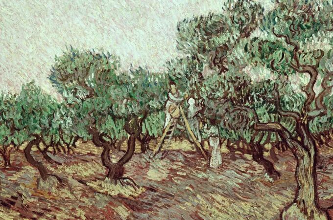Una de las versiones de 'La cosecha de aceitunas' que pintó Van Gogh Una de las versiones de 'La cosecha de aceitunas' que pintó Van Gogh