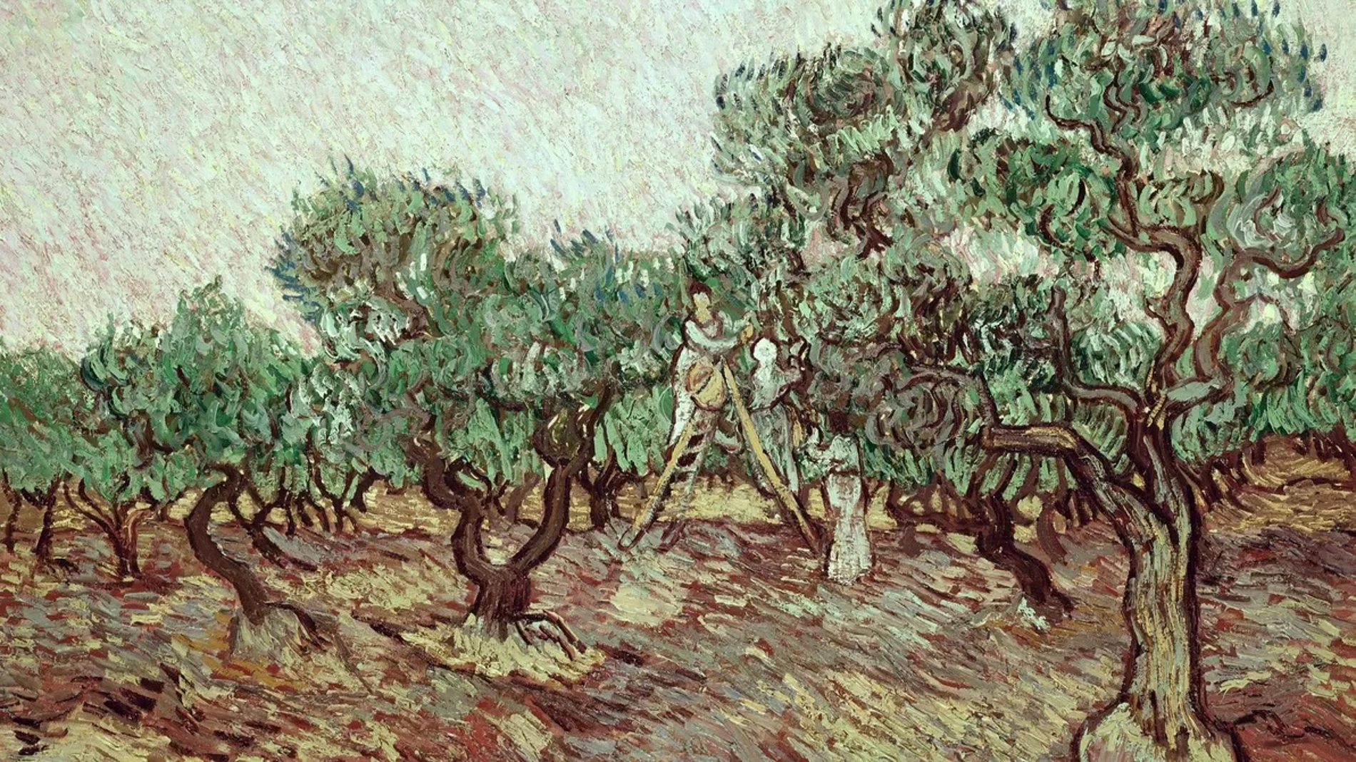 Una de las versiones de 'La cosecha de aceitunas' que pintó Van Gogh