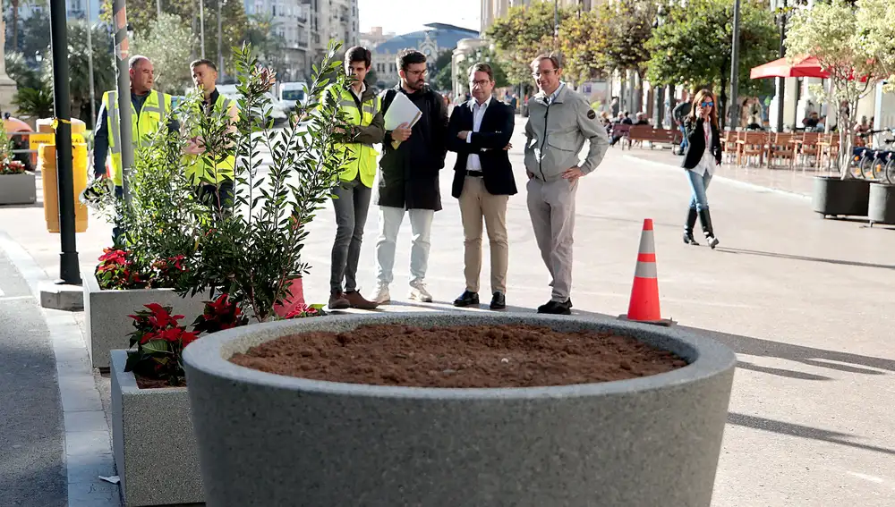 Así son los nuevos maceteros de la plaza del Ayuntamiento de Valencia