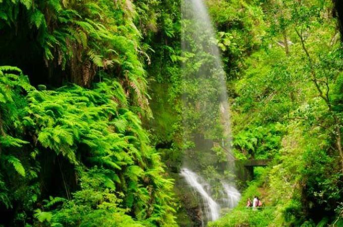 España custodia un ecosistema único, superviviente de una era que desapareció del resto del planeta